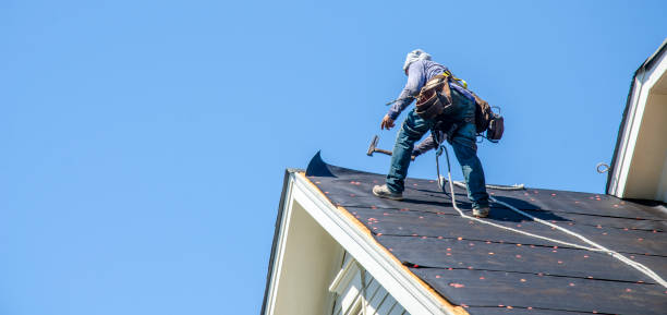 Best Roof Waterproofing Services  in Farmington, IL